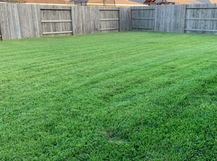 Hyeonsup L.'s landscaping service result