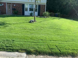 Todd L.'s lawn care services service result