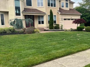 Denise C.'s Long Grass Cleanup service result