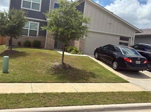 Amidita R.'s grass maintenance service result