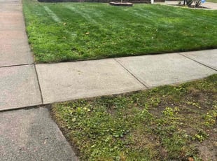 Chuck A.'s lawn care service result
