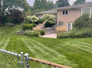 Dan H.'s grass cutting service result
