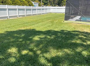 Jolene P.'s lawn care service result