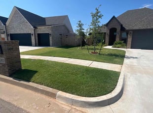 Jose C.'s turf care service result