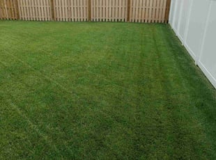 Victoria H.'s turf maintenance service result