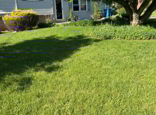 Amy S.'s lawn service service result
