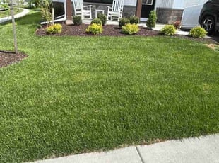 Cassandra G.'s lawn service service result