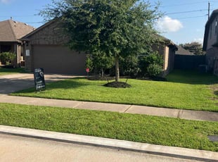 Mary M.'s turf care service result