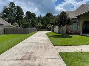 Joel Z.'s lawn care service result