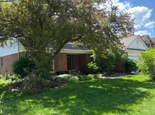 Isaac A.'s lawn maintenance service result