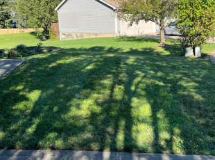 Nik M.'s lawn care services service result