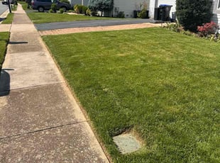 Mark B.'s grass maintenance service result
