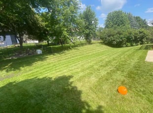 Ajaang D.'s turf care service result