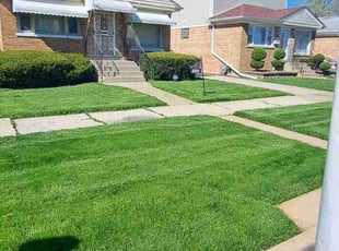 Renzie B.'s lawn maintenance service result