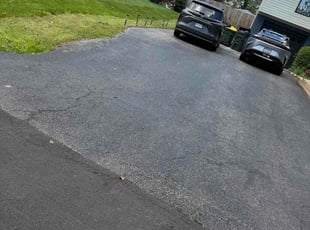 Thomas B.'s lawn care service result