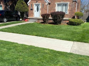 Candice S.'s turf maintenance service result
