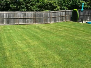 Beverly P.'s grass maintenance service result