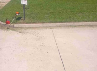 Lauren T.'s grass maintenance service result