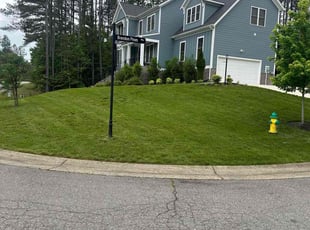 Margarita P.'s lawn care service result