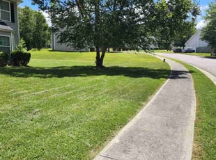 Andrea T.'s grass cutting service result