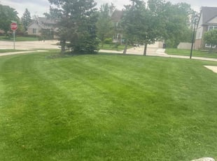 Russ C.'s lawn service service result