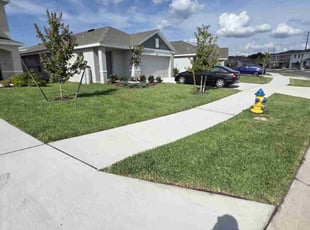 Demetrius W.'s turf care service result