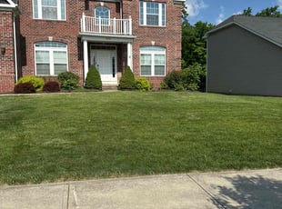 Mr W.'s grass maintenance service result