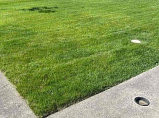 Marie F.'s grass cutting service result