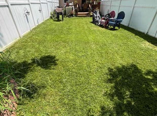 Elizabeth R.'s grass cutting service result