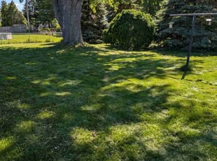 Kumar G.'s grass cutting service result