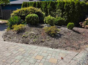 Tamera B.'s Bush Trimming service result