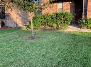 Katie N.'s lawn maintenance service result