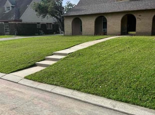 Maurice D.'s lawn care service result