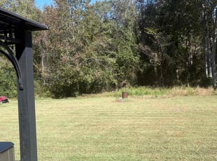 Lisa C.'s grass cutting service result