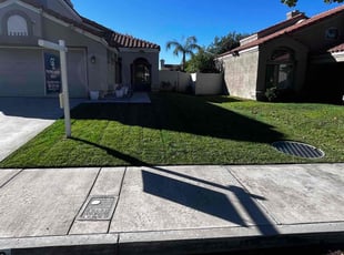 Bree N.'s lawn care services service result