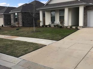 Tom B.'s lawn care services service result