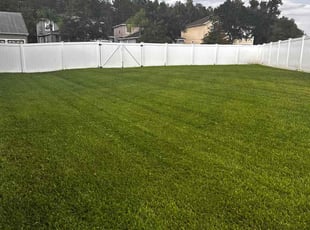Mark S.'s turf care service result