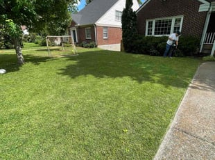 Sheryl B.'s lawn maintenance service result