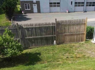 Mariana B.'s Bush Trimming service result