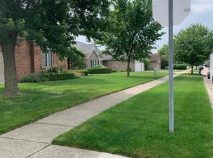 Nick D.'s lawn maintenance service result