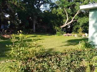 Karen H.'s grass maintenance service result