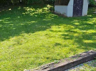 Sam S.'s lawn service service result