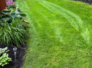 Linda F.'s lawn maintenance service result