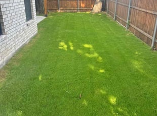David H.'s turf care service result