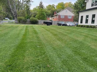 Bridget T.'s turf care service result