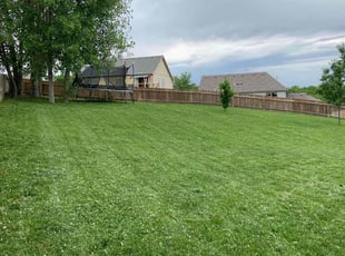 Desarae H.'s lawn maintenance service result
