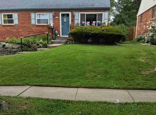 Brittany W.'s grass cutting service result