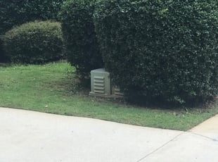 Dylan B.'s Bush Trimming service result