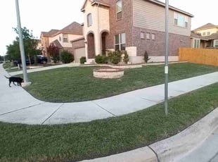 Melinda M.'s lawn care service result