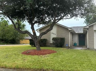 Kathryn Z.'s grass cutting service result
